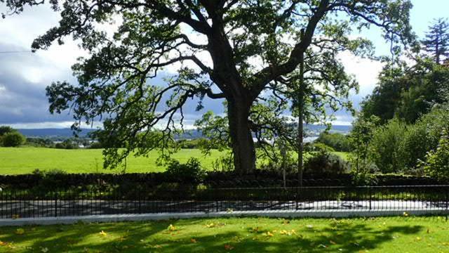 Arrochoile Bed & Breakfast Balmaha Eksteriør bilde
